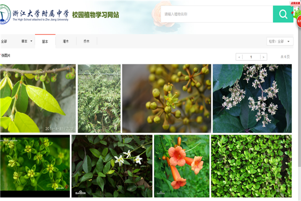 图5：植物网站_副本.png